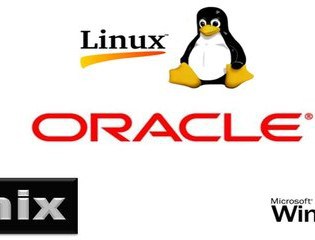 Oracle on Unix vs Oracle on Windows